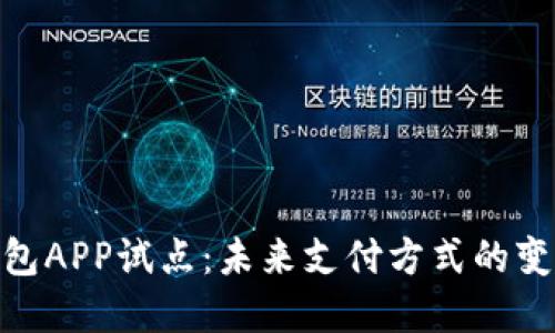 : 数字钱包APP试点:未来支付方式的变革与影响