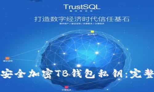 如何安全加密TB钱包私钥:完整指南