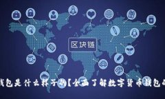 : 数字货币钱包是什么样子的？全面了