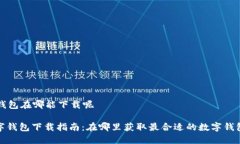 数字钱包在哪能下载呢: 数字钱包下载