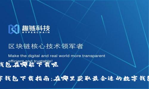 数字钱包在哪能下载呢

: 数字钱包下载指南：在哪里获取最合适的数字钱包应用