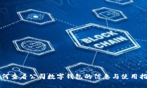 如何查看公司数字钱包的信息与使用指南