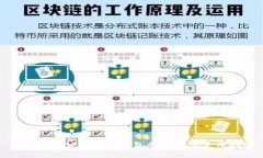 如何查看公司数字钱包的信息与使用指