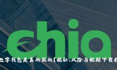 : 数字钱包是真的假的？揭秘、风险与