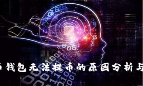 数字货币钱包无法提币的原因分析与解决方案