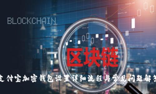 支付宝加密钱包设置详细流程与常见问题解答