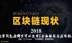 数字钱包在哪里可以使用？全面解析与