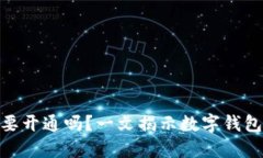 : 数字钱包对公要开通吗？一文揭示数