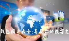 掌上数字钱包图片大全：导航你的数字