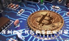 深圳数字钱包抽签规则详解