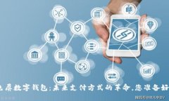 : 彩色屏数字钱包：未来支付方式的革