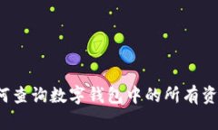 如何查询数字钱包中的所有资产？