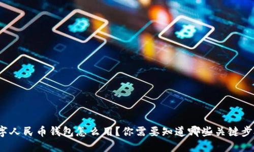数字人民币钱包怎么用?你需要知道哪些关键步骤?