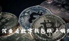 如何查看数字钱包账户明细？
