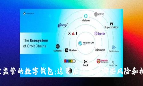 不被监管的数字钱包：这背后隐藏着哪些风险和机遇？