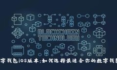 数字钱包iOS版本：如何选择最适合你的