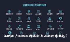 深圳用户如何选择适合自己的数字钱包