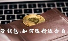 区块链货币电子钱包：如何选择适合自