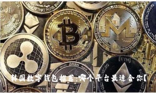 韩国数字钱包推荐:哪个平台最适合你?