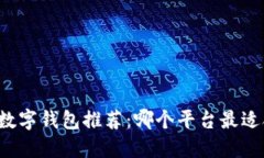 韩国数字钱包推荐：哪个平台最适合你