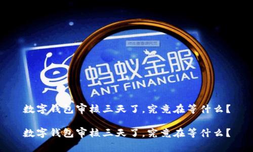 数字钱包审核三天了,究竟在等什么?
数字钱包审核三天了,究竟在等什么?