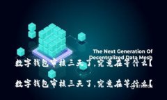 数字钱包审核三天了，究竟在等什么？