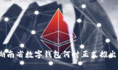 湖南省数字钱包何时正式推出？
