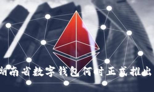 湖南省数字钱包何时正式推出?