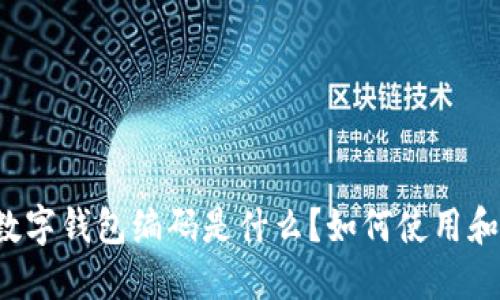 中国央行数字钱包编码是什么?如何使用和保障安全?