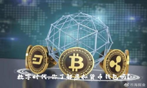 数字时代,你了解虚拟货币钱包吗?
