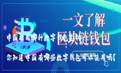 中国能用哪种数字钱包支付你知道中国