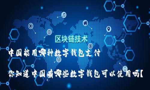 中国能用哪种数字钱包支付
你知道中国有哪些数字钱包可以使用吗?