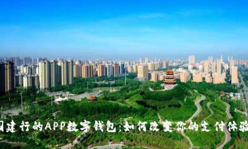 国建行的APP数字钱包:如何改变你的支付体验?