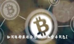 如何选择最适合您的Eco加密币钱包？