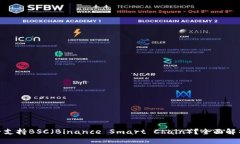 imToken是否支持BSC（Binance Smart Chain）？