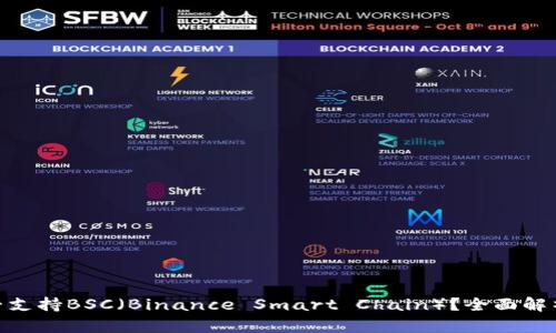 imToken是否支持BSC（Binance Smart Chain）？全面解析与使用指南