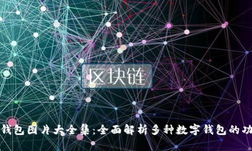 : 区块链钱包图片大全集：全面解析多种数字钱包的功能与特点