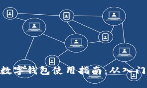 : 加密数字钱包使用指南：从入门到精通