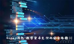 Gopay钱包：数字货币支付的安全选择