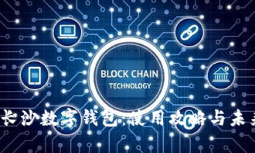  全面解析长沙数字钱包：使用攻略与未来发展趋势