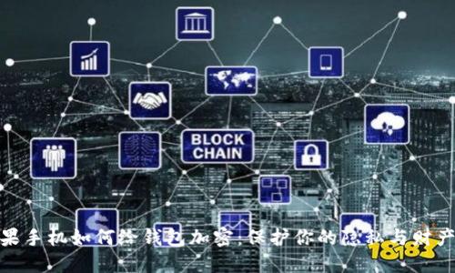 : 苹果手机如何给钱包加密：保护你的隐私与财产安全