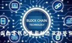 中国数字钱包最新动态及趋势分析