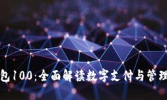 数字钱包100：全面解读数字支付与管理的未来