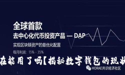 :

数字钱包现在能用了吗？揭秘数字钱包的现状与未来发展