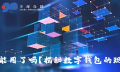 :数字钱包现在能用了吗？揭秘数字钱包的现状与