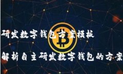 自主研发数字钱包方案模板全面解析自