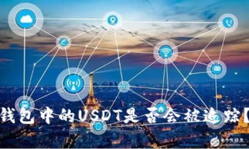 imToken钱包中的USDT是否会被追踪？全面解析