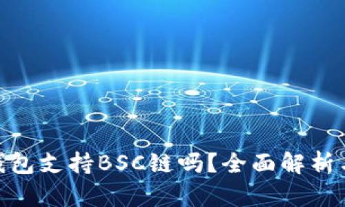 imToken钱包支持BSC链吗？全面解析与使用指南