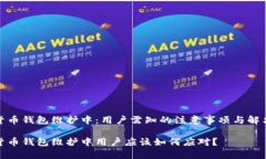 数字货币钱包维护中：用户需知的注意事项与解