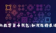 : 正在申请的数字货币钱包：如何选择最适合你的